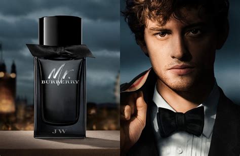 mr burberry beard clay|burberry cologne for men.